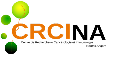 crcina-centre-regional-de-recherche-en-cancrologie-immunologie-nantes-angers